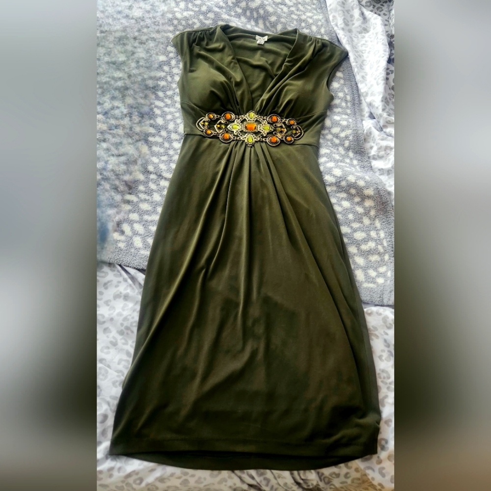 Vintage Cache sleeveless olive colored embellished dress 2